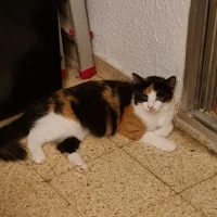 Adopta a Nadie Quiere Adoptarla