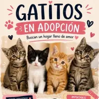 Adopta a María Belén