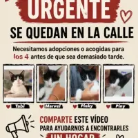 Adopta a Familia