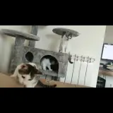 Adopta a No Tiene Aún