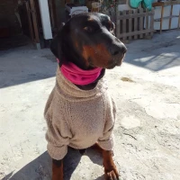 Olga Gonzalez Castro