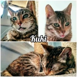 Adopta a Kuki