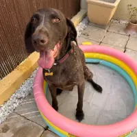 Adopta a Argos