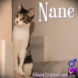 Adopta a Nane