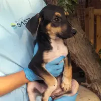 Adopta a Camada La Fabriquilla