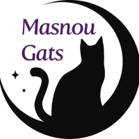 Associació Masnou Gats