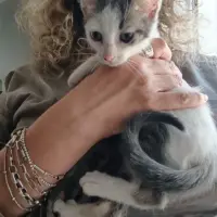 Adopta a Nina