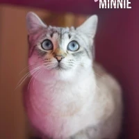 Adopta a Minnie