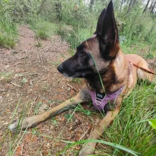 Kira