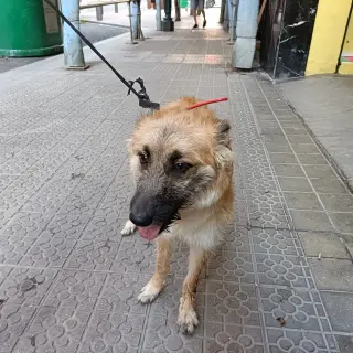 Luna