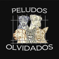 PELUDOS OLVIDADOS