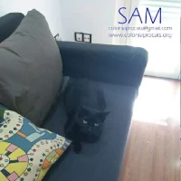 Adopta a Sam