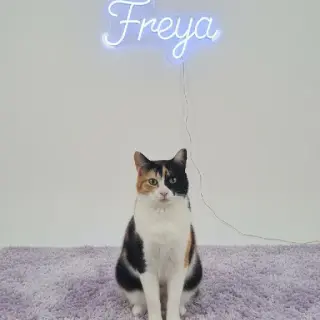 Freya