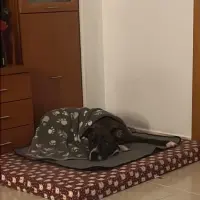 Adopta a Fresa