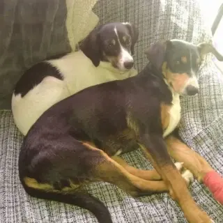 Elsa y Jasmin