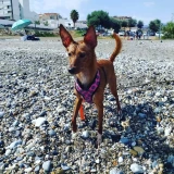 Adopta a Edita