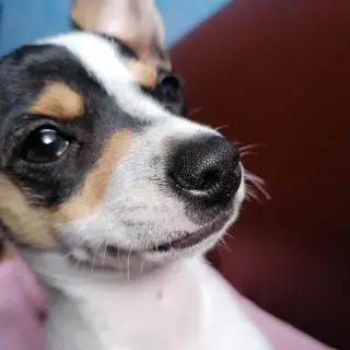 Lucky