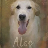 Adopta a Atos