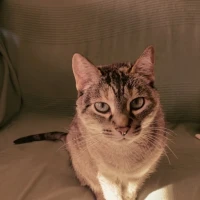 Adopta a Cristina