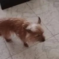 Adopta a Luna