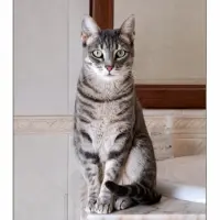 Adopta a Raquel