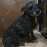 Adopta a Valhiria