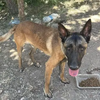Zeus