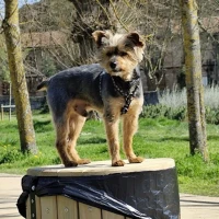 Adopta a Francisco Javier