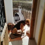 Adopta a Nala