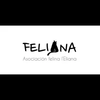 Feliana ( asociacion felina de l’eliana)