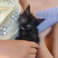 Adopta a Maya