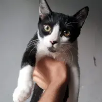 Adopta a Mati