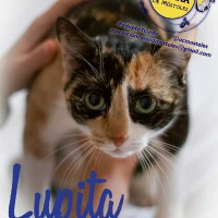 Adopta a Lupita