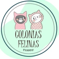 Colonias Felinas De Picassent