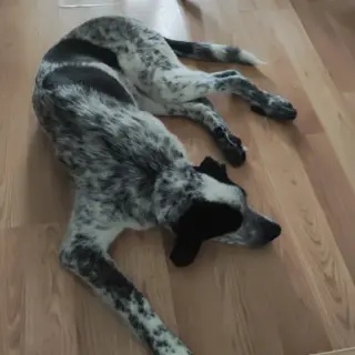 Max