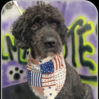 Adopta a Marrufo