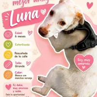 Adopta a Luna