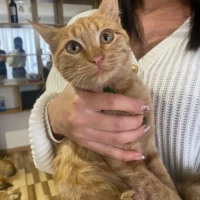 Adopta a Agustina