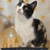 Adopta a África
