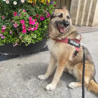 Pluto