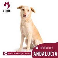 Adopta a Andalucia