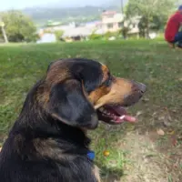 Adopta a Mamá