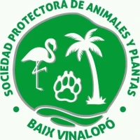 Baix Vinalopó
