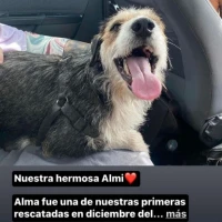 Adopta a Alma