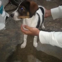 Adopta a Princesa