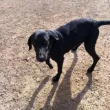 Adopta a Mora