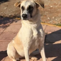 Adopta a Senda