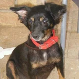 Adopta a Luna