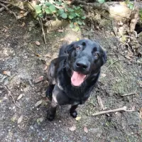 Adopta a Naila