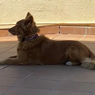 Teo